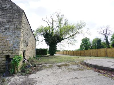 Picture 5